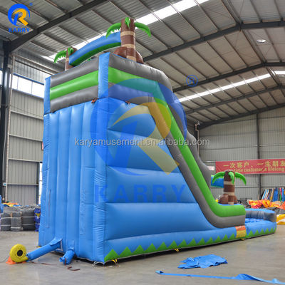 Logo Klantenlogo Een breed rijstrook PVC opblaasbare zwembad glijbaan voor waterparkapparatuur