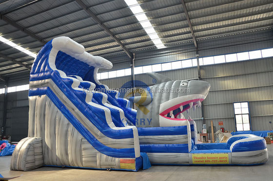 Laat je innerlijke haai los Commerciële blauwe waterslide met opblaasbare haai en zwembad
