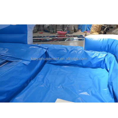 Geslachtsneutrale commerciële achtertuin Bouncy Castle Marmer Tropische waterslide Waterglijbaan