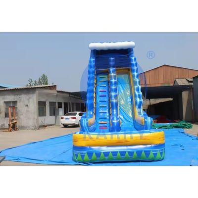 Opblaasbare 18ft volwassen tropische achtertuin waterglijbaan met zwembad en palmboom