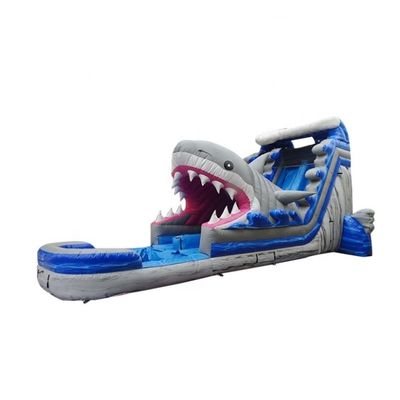 Populaire opblaasbare waterparkapparatuur Grote blauwe 3D haaienwaterglijbanen met zwembad