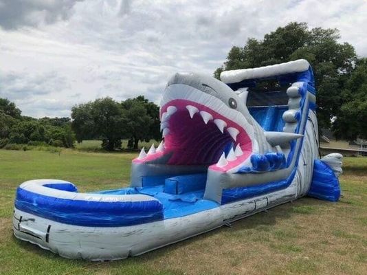 Populaire opblaasbare waterparkapparatuur Grote blauwe 3D haaienwaterglijbanen met zwembad