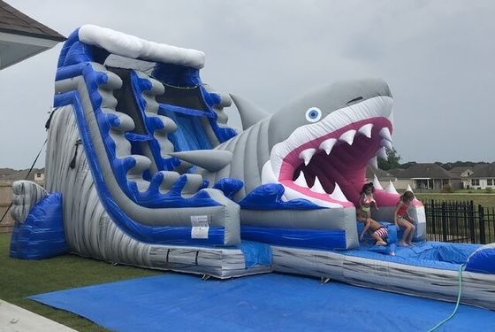 Populaire opblaasbare waterparkapparatuur Grote blauwe 3D haaienwaterglijbanen met zwembad