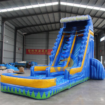 CE 220v-240v of 110v-120v Op maat gemaakte opblaasbare waterslide voor zomerfeestplezier