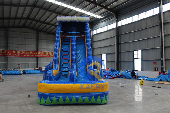 CE 220v-240v of 110v-120v Op maat gemaakte opblaasbare waterslide voor zomerfeestplezier