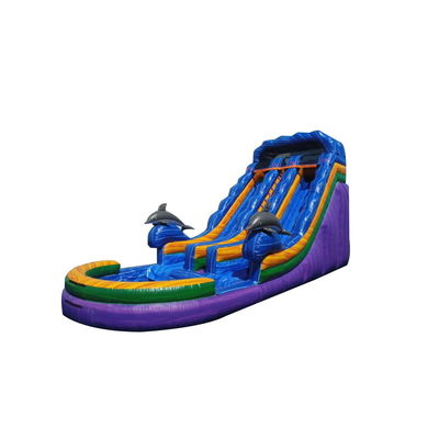 Express verzending Unisex bounce slider opblaasbare waterslider met zwembad games games