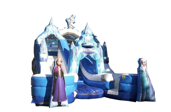Gepersonaliseerde kleur cartoon personage dubbele outdoor bevroren opblaasbare glijbaan voor kinderen feest