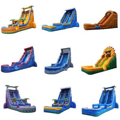 Kleurrijke palmboom ontwerpen opblaasbare waterslide voor speeltuin 15ft commerciële graad