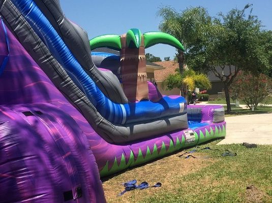 Digitaal drukken Paarse palmboom commerciële opblaasbare waterslide voor volwassenen en kinderen
