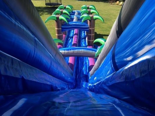 Digitaal drukken Paarse palmboom commerciële opblaasbare waterslide voor volwassenen en kinderen