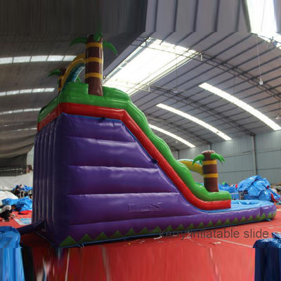 Persoonlijke tuin opblaasbare waterslide en trampoline voor kinderen Zwem avontuur
