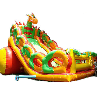 Stimulerende opblaasbare waterslider voor volwassenen en kinderen Grote commerciële springglijbaan