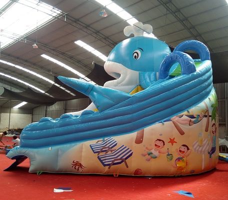 Digitaal drukken Baby Kids opblaasbare Dubai waterglijbaan met maximale capaciteit 100-500kg