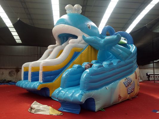 Digitaal drukken Baby Kids opblaasbare Dubai waterglijbaan met maximale capaciteit 100-500kg