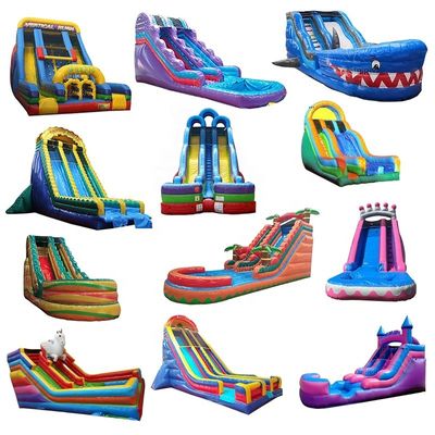 Bouncy Castle waterglijbaan Crocodile Creek opblaasbaar zwembad en glijbaan kasteel