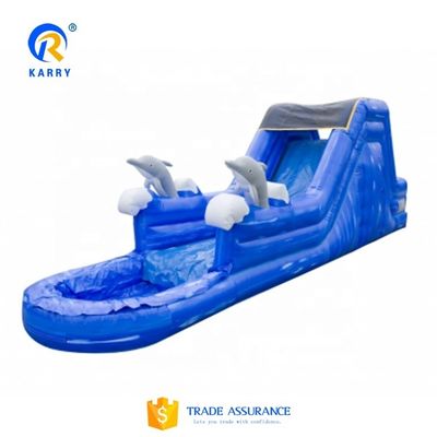 Bouncy Castle waterglijbaan Crocodile Creek opblaasbaar zwembad en glijbaan kasteel