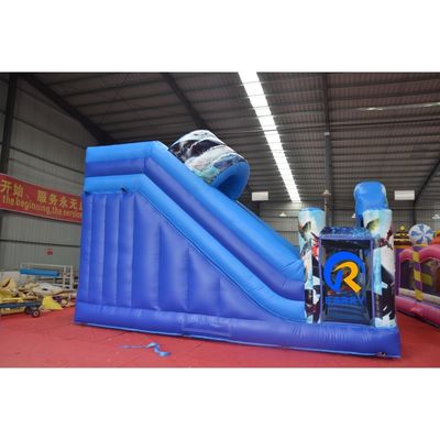 Commerciële opblaasbare dubbele lijn glijbaan met blazer Dragon bouncer en glijbaan combo