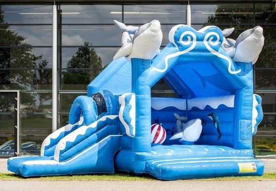 Kasteel voor 14 Jaar Up Populair Outdoor Rainbow Unicorn Bouncy Kasteel Met Slide Combo