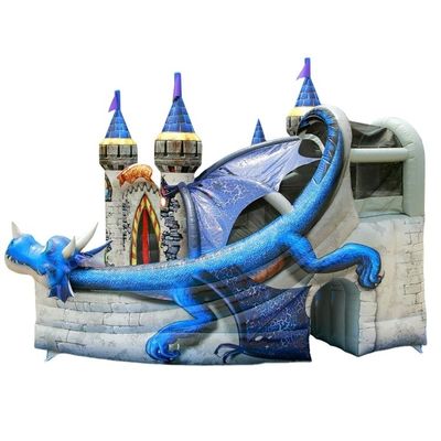 5x4m 18*16ft Blue Dinosaur Bouncy Castle Slide Combo met professionele OEM service