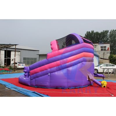 Roze LOL thema opblaasbaar kasteel springend Commercieel Combo Bounce House met glijbaan
