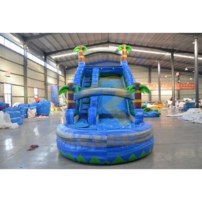 Gepersonaliseerde grootte Commerciële opblaasbare waterslide met zwembad CE/EN71/EN14960 Gecertificeerd