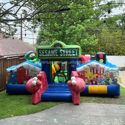Persoonlijke maat Sesamstraat opblaasbare uitsmijter Bouncy Castle voor 14 jaar tot leeftijdsbereik