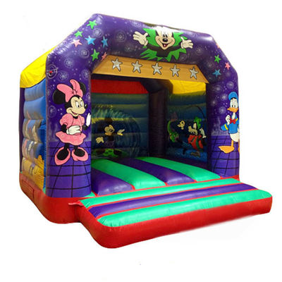 Kleurrijke Minnie Mouse Bouncy Castle opblaasbare springende uitsmijter Cartoon Bounce House