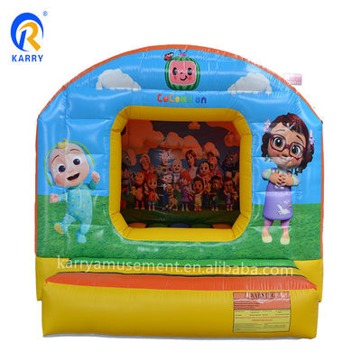 Outdoor Entertainment Party opblaasbaar Bounce House Bouncer Combo met aangepaste kleur