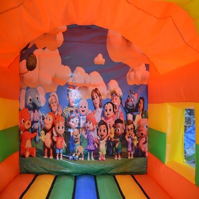 Outdoor Entertainment Party opblaasbaar Bounce House Bouncer Combo met aangepaste kleur