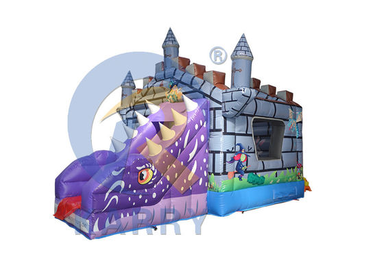 Kenmerken PORTABLE Kinderen opblaasbare droogspringer springkasteel met glijbaan en kameleon
