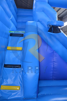 Expressverzending Kinderen Buiten Bouncy House opblaasbaar Springkasteel Bevroren Park