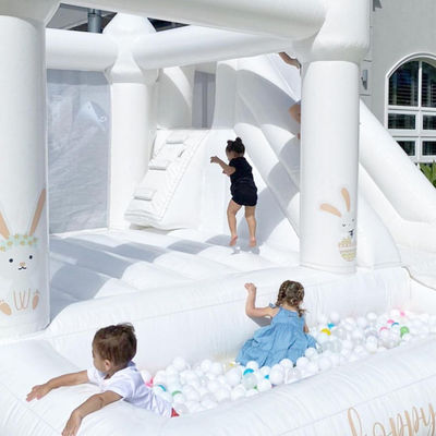 Handgetekende bruiloft Bouncy Castle Jumper met glijbaan en balpit Express Air Shipping