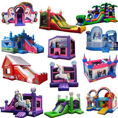 Unisex op maat gekleurde Bouncy Castle Huis En Waterglijbaan Party Huur Met Blower