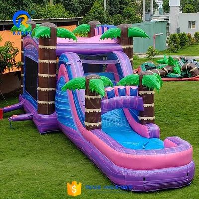 Persoonlijk gekleurde Palmboom Bouncy Castle met glijbaan opblaasbaar Bounce House