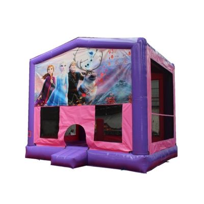 Draagbare kenmerken opblaasbaar kasteel PVC springhuis springglijbaan voor kinderen