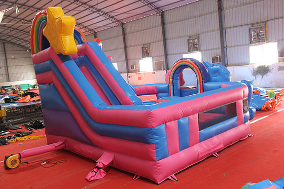 Leeftijdsbereik 14 jaar opblaasbaar Roze Eenhoorn Bouncy Castle Bouncer Combo voor Unisex