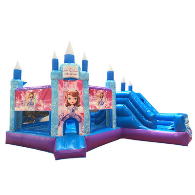 Hot Princess Party Bouncy Castle met glijbaan PVC commerciële speeltuin apparatuur
