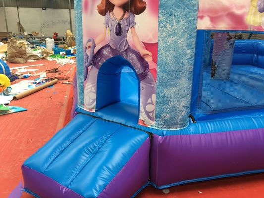 Hot Princess Party Bouncy Castle met glijbaan PVC commerciële speeltuin apparatuur