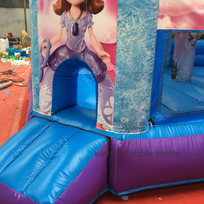 Hot Princess Party Bouncy Castle met glijbaan PVC commerciële speeltuin apparatuur