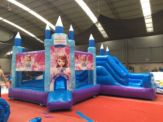 Hot Princess Party Bouncy Castle met glijbaan PVC commerciële speeltuin apparatuur