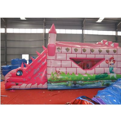 Kleuter Roze Kasteel Opblaasbare Kameleon Bouncy Kasteel Combo Glijbaan met Accessoires