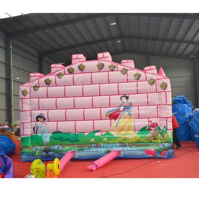 Kleuter Roze Kasteel Opblaasbare Kameleon Bouncy Kasteel Combo Glijbaan met Accessoires