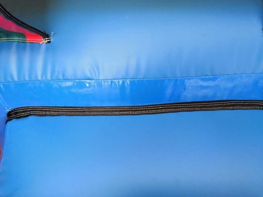 EN14960 Gecertificeerde aangepaste kleur Sesamstraat opblaasbare speeltuin uitsmijter voor kinderen