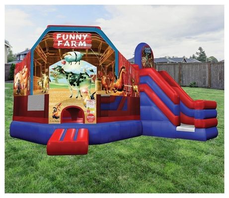 Kenmerken PORTABLE Giant Carousel Bouncy Castle Combo Slide met aangepaste kleur