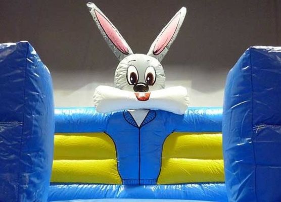 Lief en grappig Commercieel Bouncy House leeftijdsbereik 14 jaar oud Geslacht Unisex Grappig ontwerp