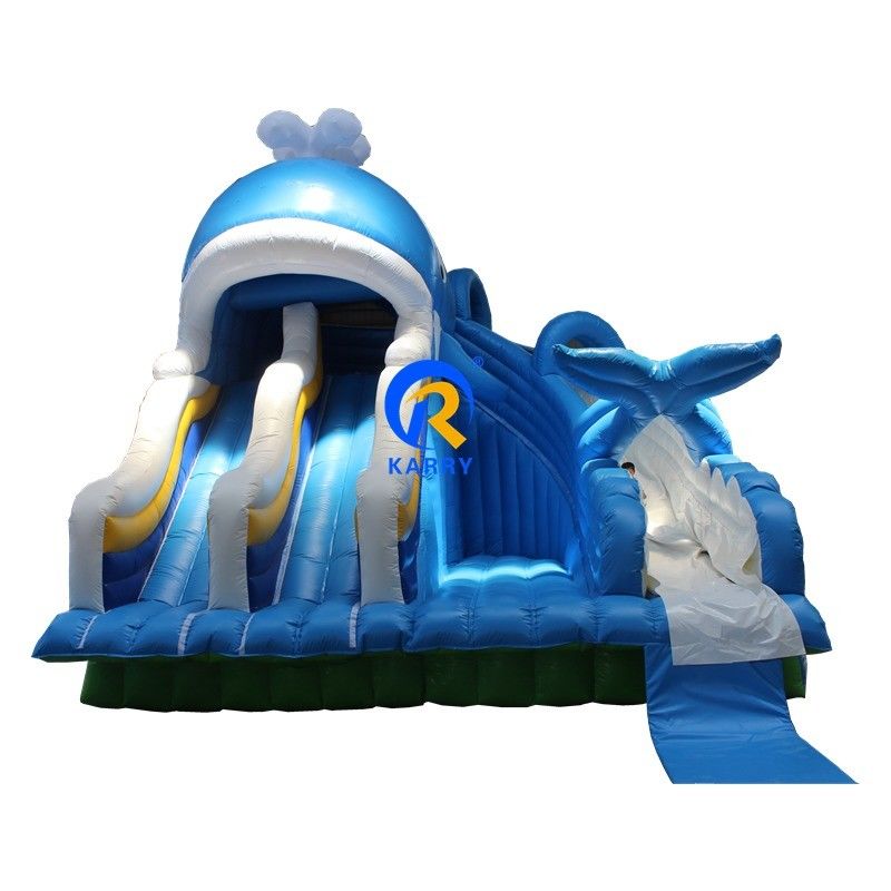 Draagbare PVC 0,55 mm tralies opblaasbare waterslide met zwembaden en zwembadballenspeelgoed