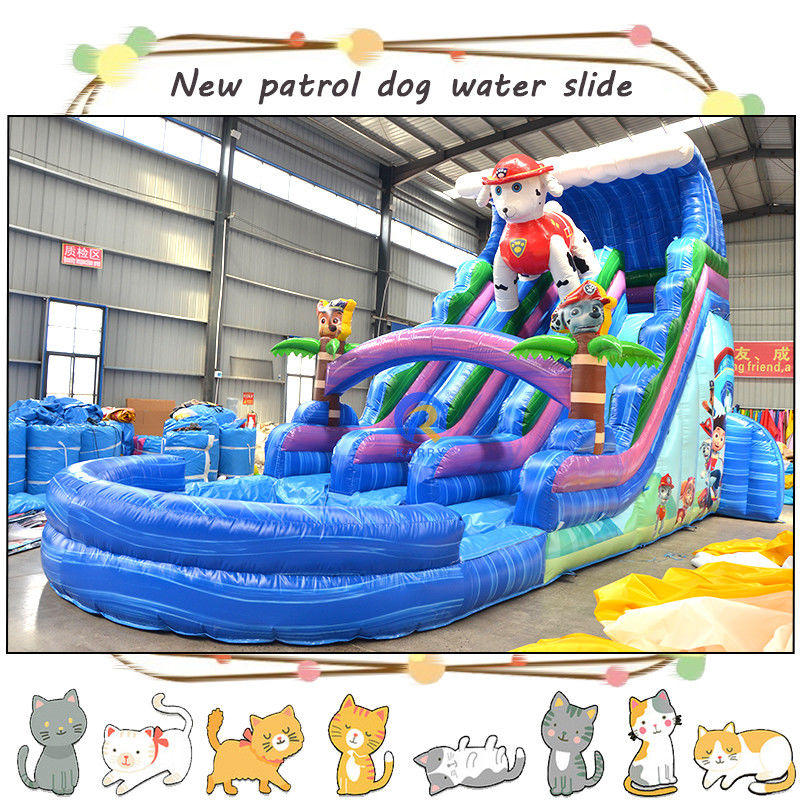 Vermaak kinderen met 3D Paw-patrouilles opblaasbare waterglijbaan en zwembad dubbelbaan ontwerp