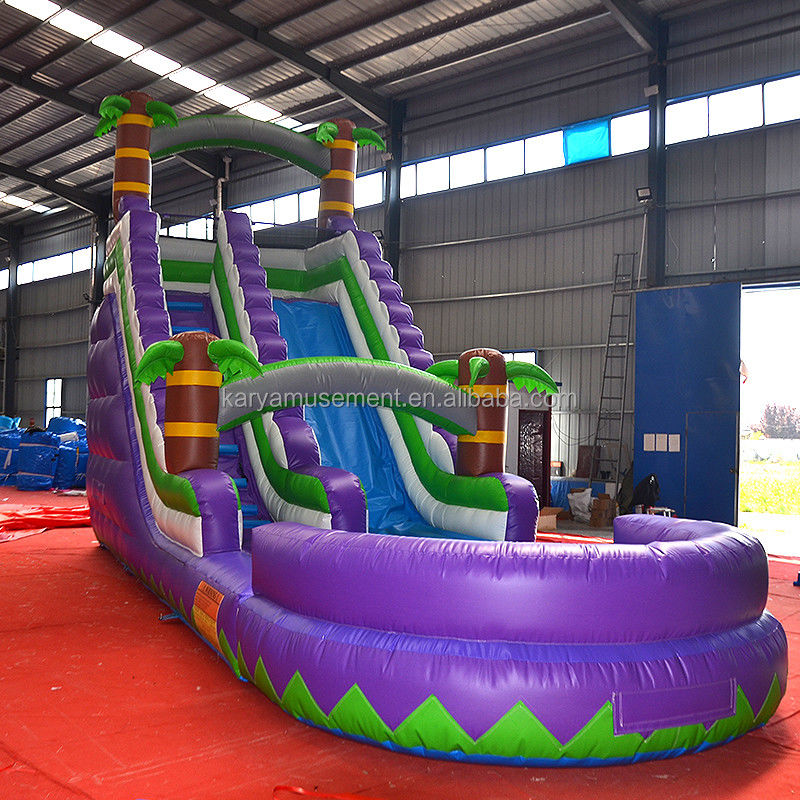 5-10 Passagierscapaciteit 29 voet opblaasbare waterslide met zwembad CE/EN71/EN14960 Goedgekeurd