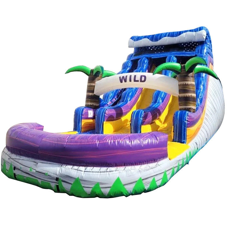 Grote zwembad Kinderen springglijbaan Huisfeest Commerciële tropische palmbomen Waterglijbaan met twee glijbaan
