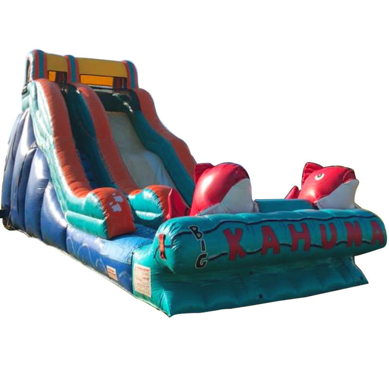 0.55mm PVC Tarpaulin Red Carp Theme opblaasbare waterglijbaan met brede glijbaan en glijbaan